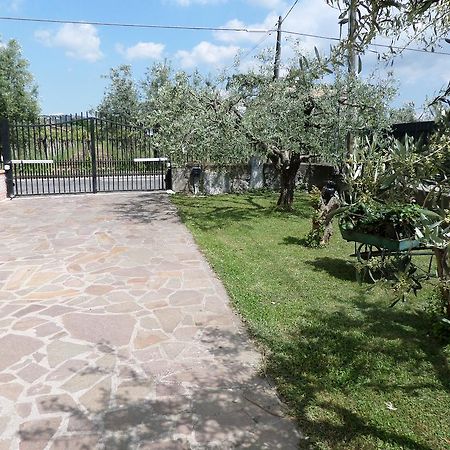 B&B Villino Lory Марино Екстериор снимка