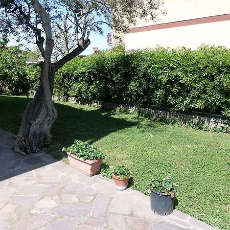 B&B Villino Lory Марино Екстериор снимка