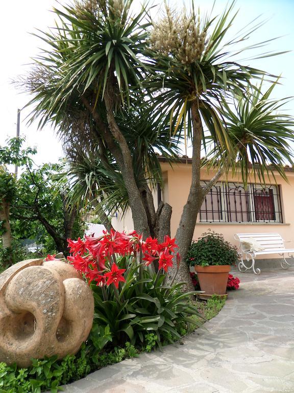 B&B Villino Lory Марино Стая снимка