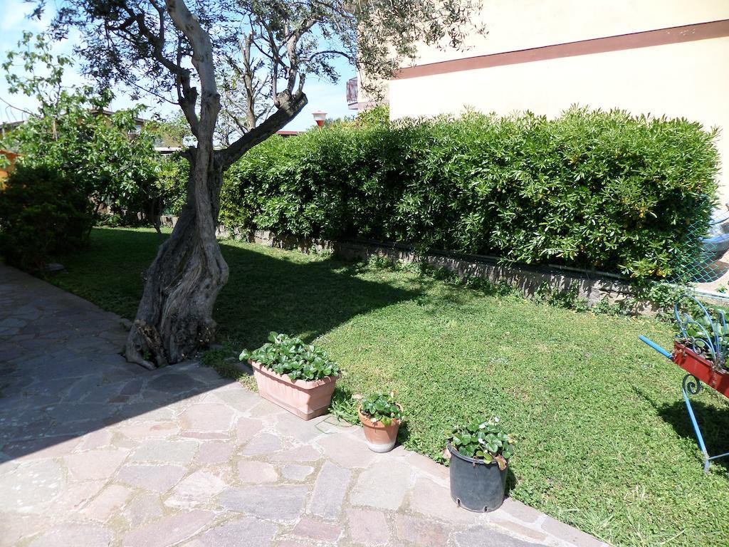 B&B Villino Lory Марино Екстериор снимка