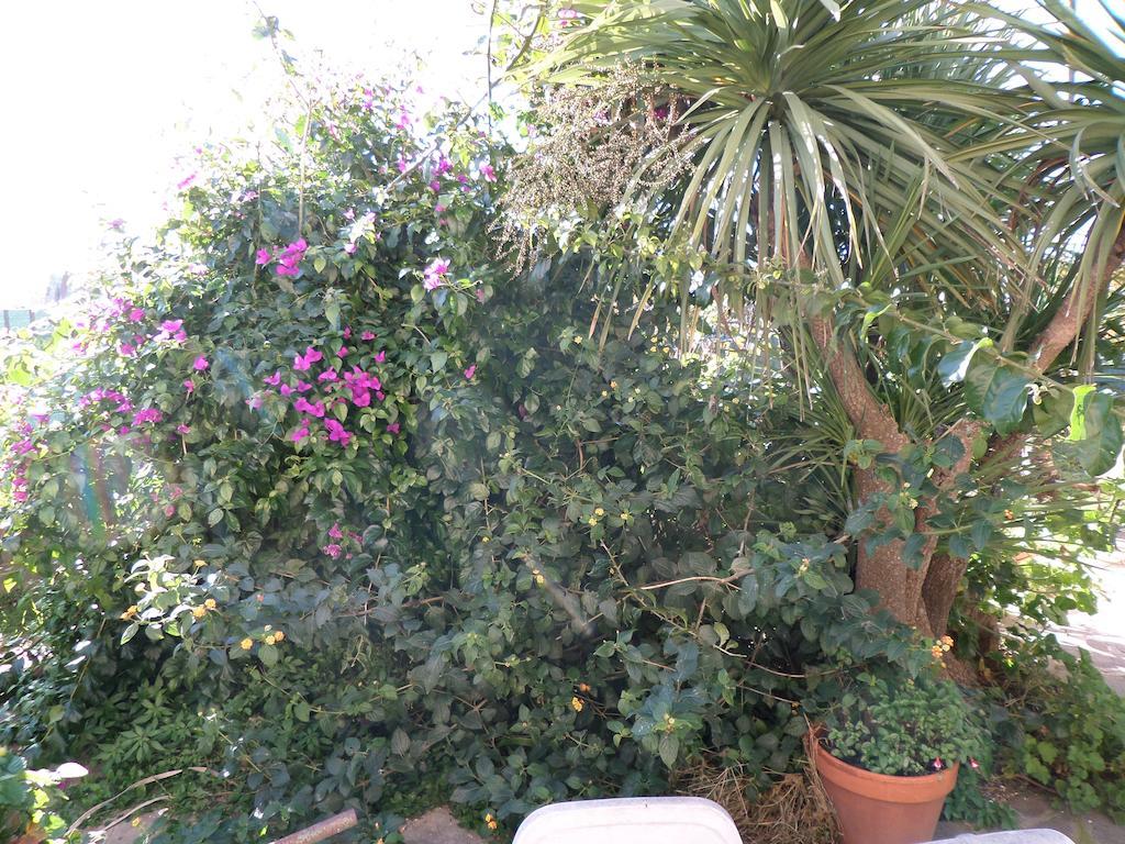 B&B Villino Lory Марино Екстериор снимка
